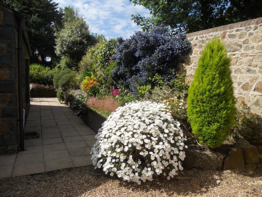 Flowering garden path at La Pompe