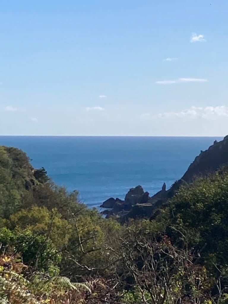 Petit Bot valley leading down to the sea